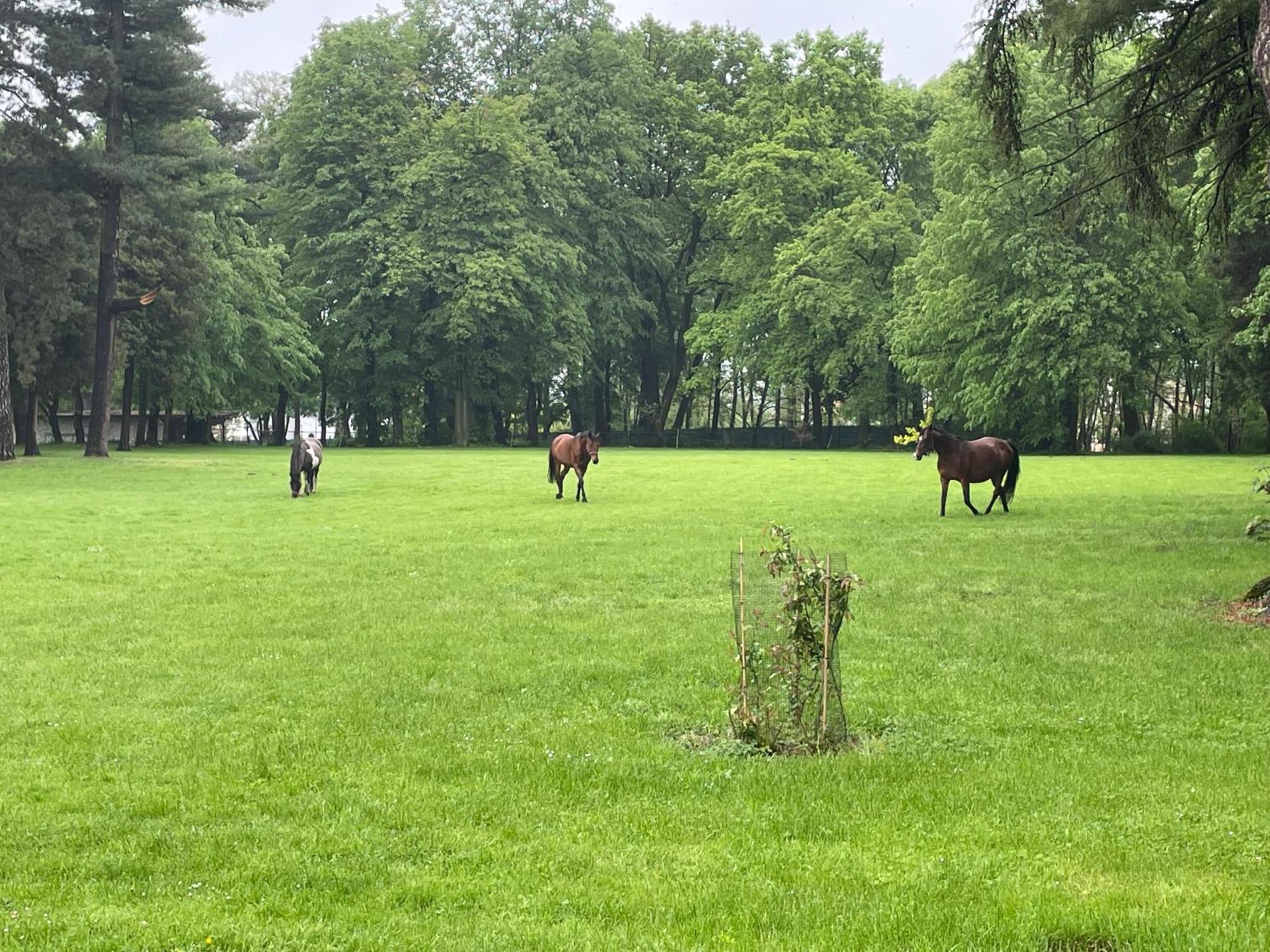 Palac Zbylitowskich Zbylitowska Gora 外观 照片